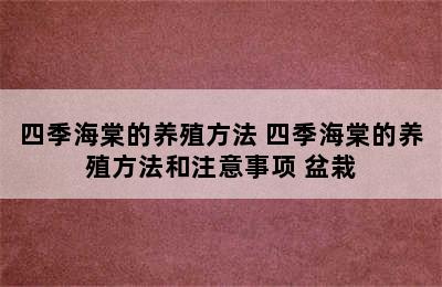 四季海棠的养殖方法 四季海棠的养殖方法和注意事项 盆栽